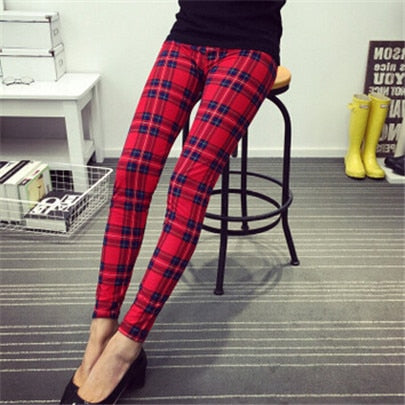 starry tights 2019