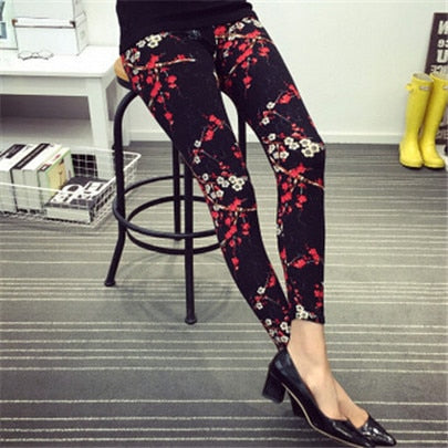 starry tights 2019